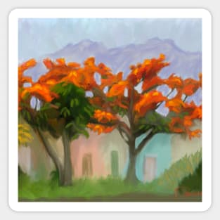 Flamboyan trees with bright red orange blooms Sticker
